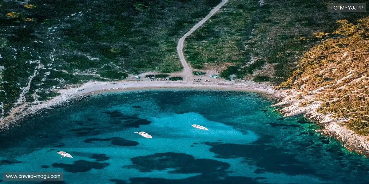 肌肉记忆的韵律,谱写胜利交响曲。🌌 🌄